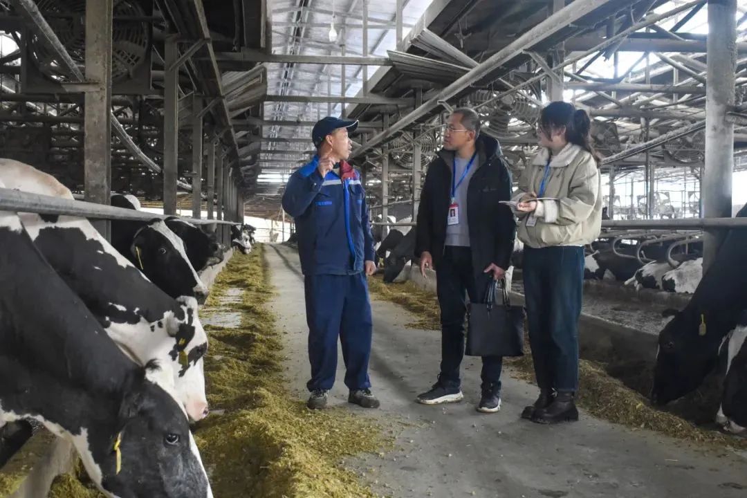 聚焦全會?學習貫徹丨南平：一以貫之推進全面從嚴治黨 為奮力推進 中國式現(xiàn)代化南平實踐清障護航